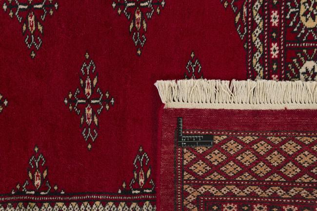 Pakistan Buchara 2ply - 1