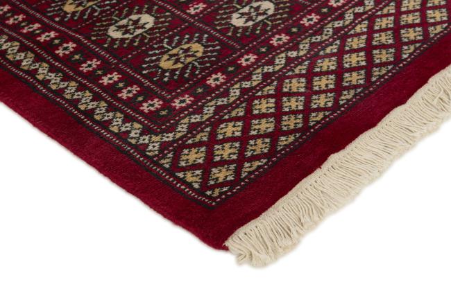 Pakistan Buchara 2ply - 3