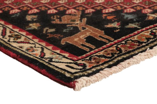 Shiraz - 4