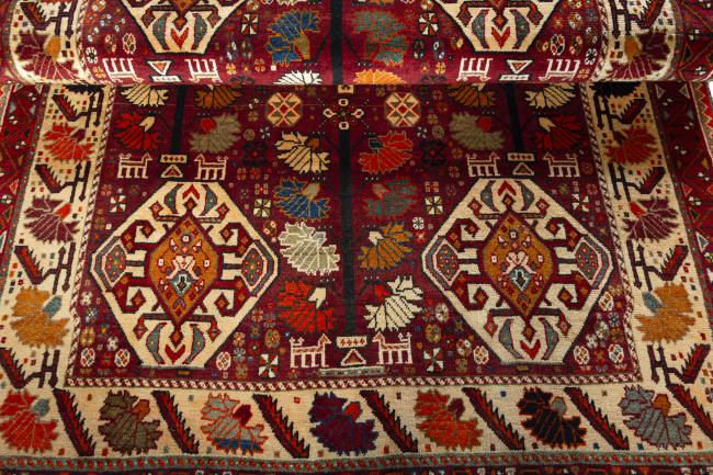 Shiraz - 7