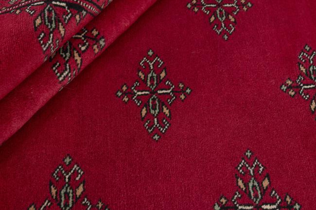 Pakistan Buchara 2ply - 2