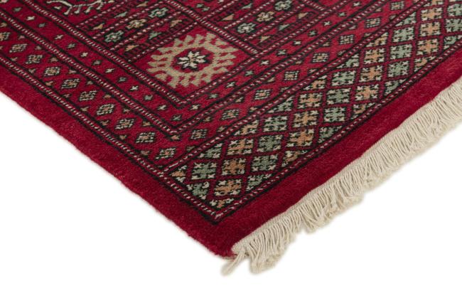 Pakistan Buchara 2ply - 3