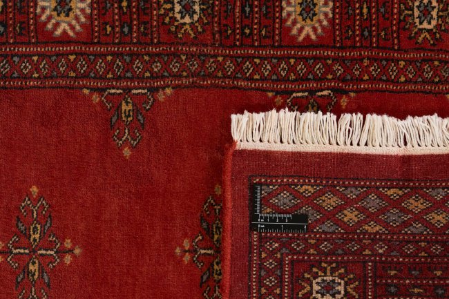 Pakistan Buchara 2ply - 1
