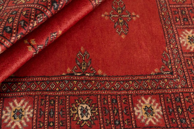 Pakistan Buchara 2ply - 2