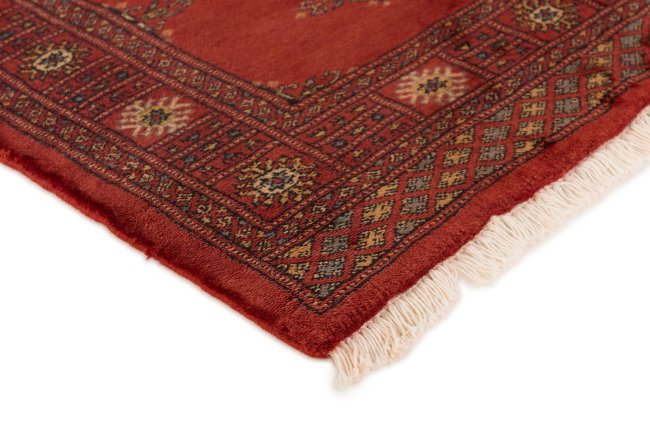 Pakistan Buchara 2ply - 3