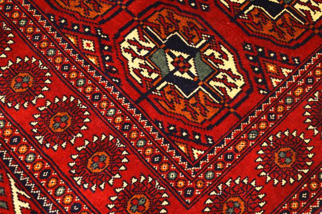 Afghan Mauri - 4