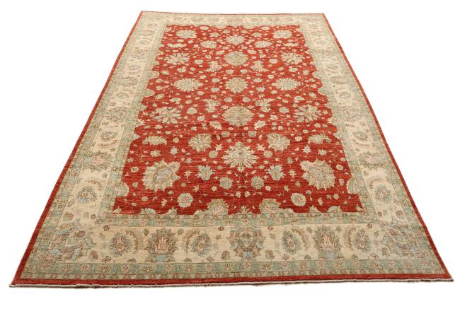 Ziegler Farahan - 3