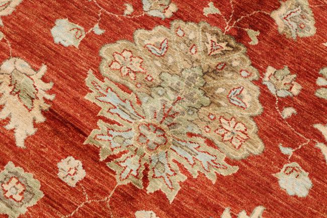 Ziegler Farahan - 9