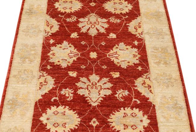 Ziegler Farahan - 6