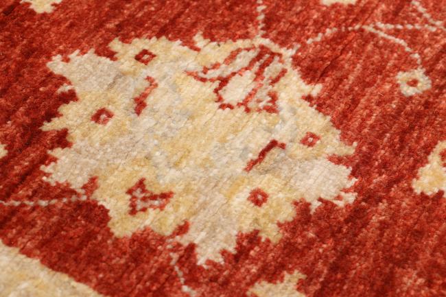 Ziegler Farahan - 8