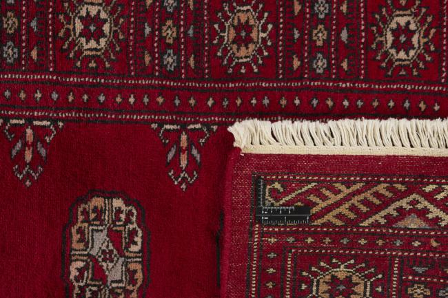 Pakistan Buchara 3ply - 1