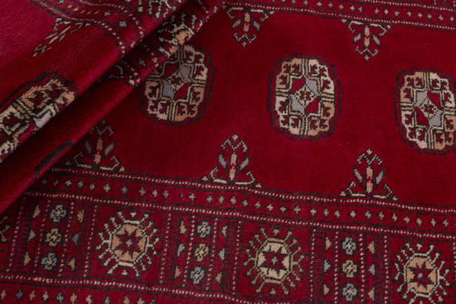 Pakistan Buchara 3ply - 2