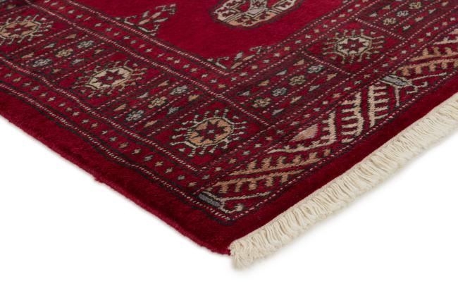 Pakistan Buchara 3ply - 3
