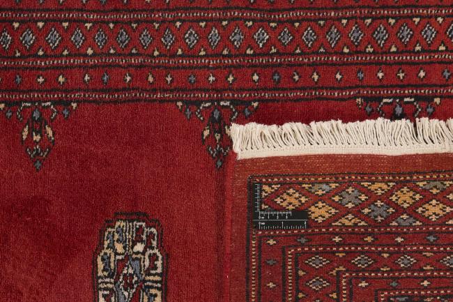 Pakistan Buchara 2ply - 1