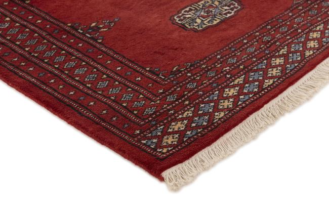 Pakistan Buchara 2ply - 3