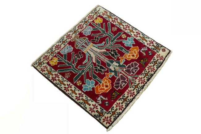 Shiraz - 2