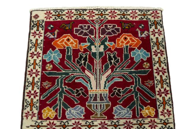 Shiraz - 3