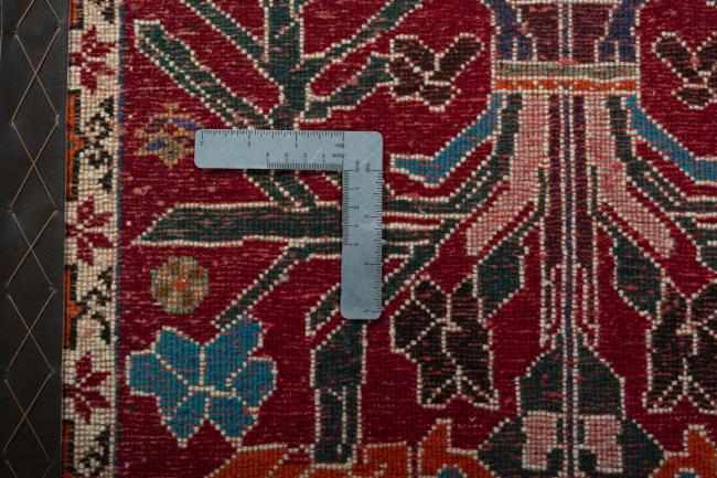 Shiraz - 4