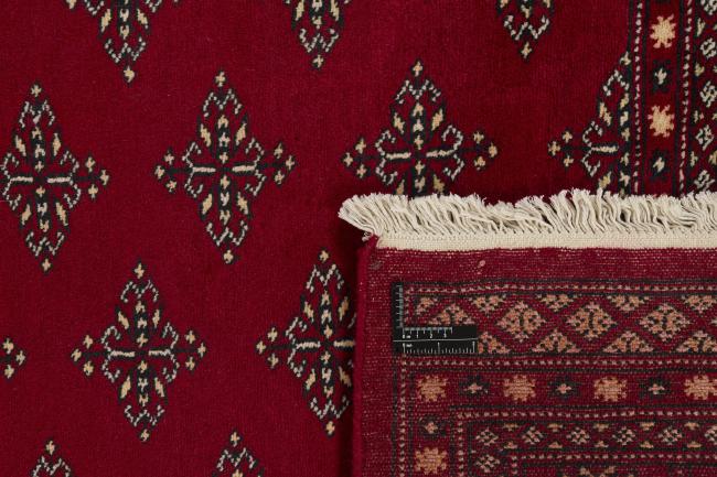 Pakistan Buchara 2ply - 1