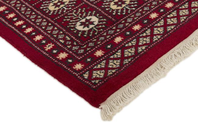 Pakistan Buchara 2ply - 3