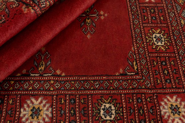 Pakistan Buchara 3Ply - 2