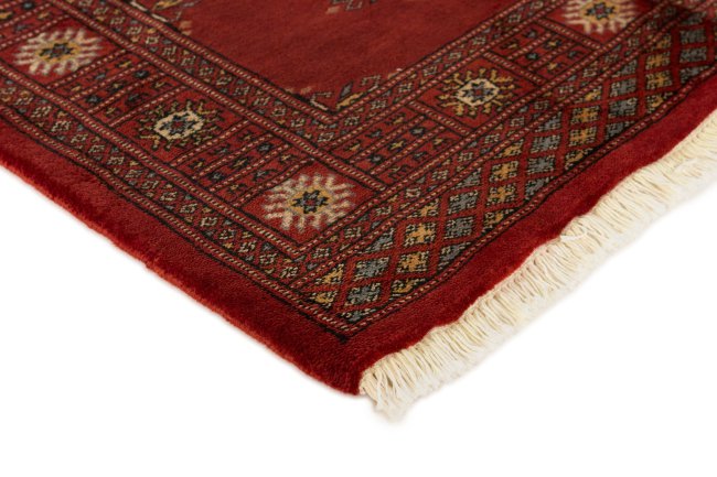 Pakistan Buchara 3Ply - 3