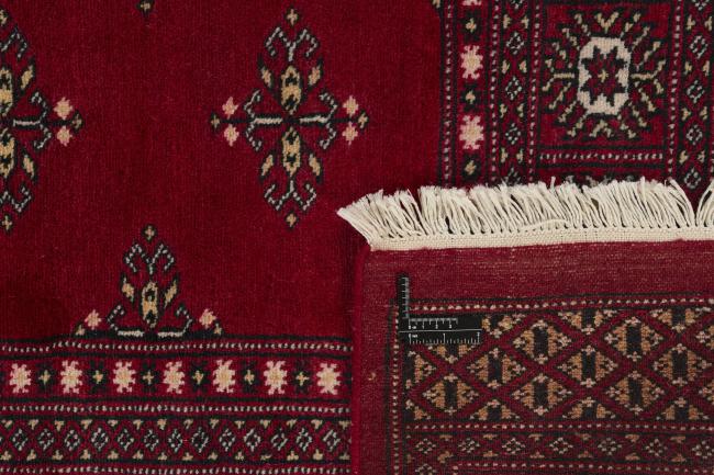 Pakistan Buchara 2ply - 1