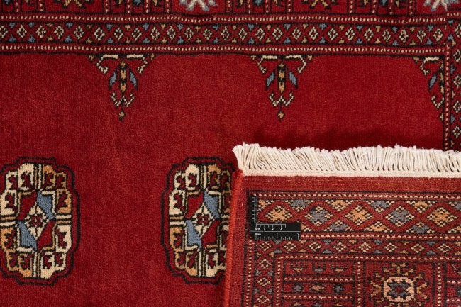 Pakistan Buchara 3Ply - 1