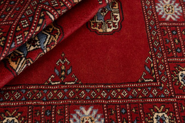 Pakistan Buchara 3Ply - 2