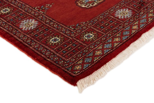 Pakistan Buchara 3Ply - 3