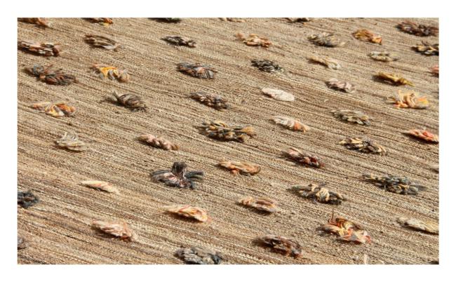 Kilim Afghan Berber Edition - 1