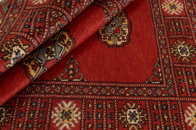 Pakistan Buchara 3Ply - 2