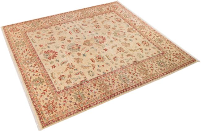 Ziegler Farahan - 2