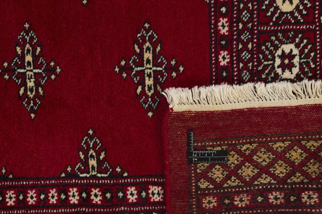 Pakistan Buchara 2ply - 1