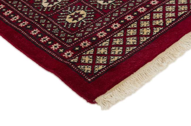 Pakistan Buchara 2ply - 3