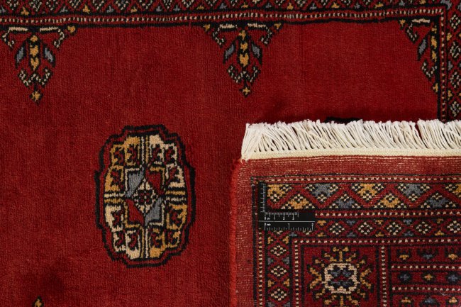 Pakistan Buchara 3Ply - 1