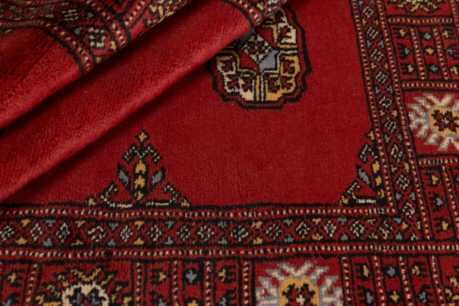 Pakistan Buchara 3Ply - 2