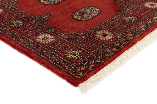 Pakistan Buchara 3Ply - 3