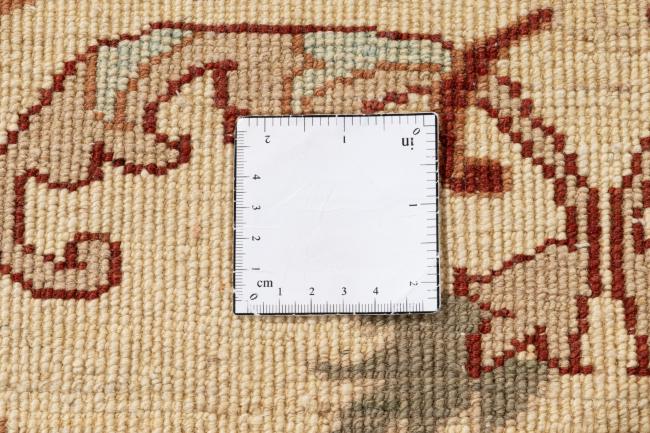 Ziegler Farahan - 11