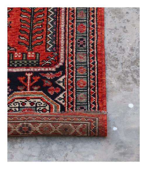 Arijana Ghashghai - 2