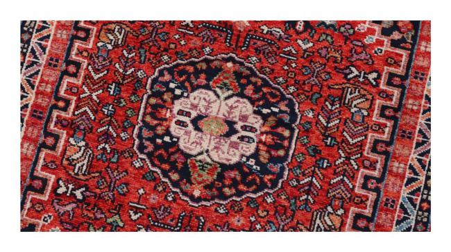 Arijana Ghashghai - 1