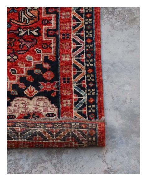 Arijana Ghashghai - 2