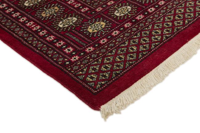 Pakistan Buchara 2ply - 3