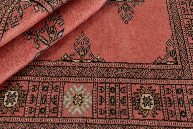 Pakistan Buchara 3Ply - 2