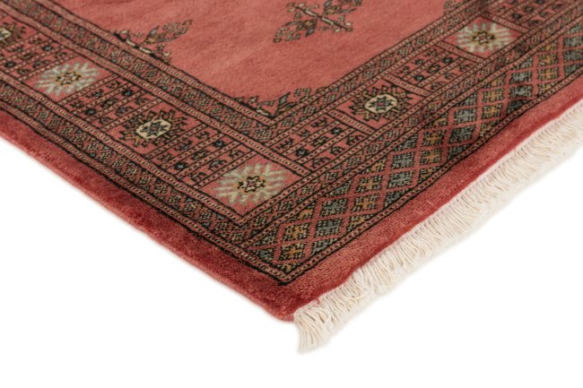 Pakistan Buchara 3Ply - 3