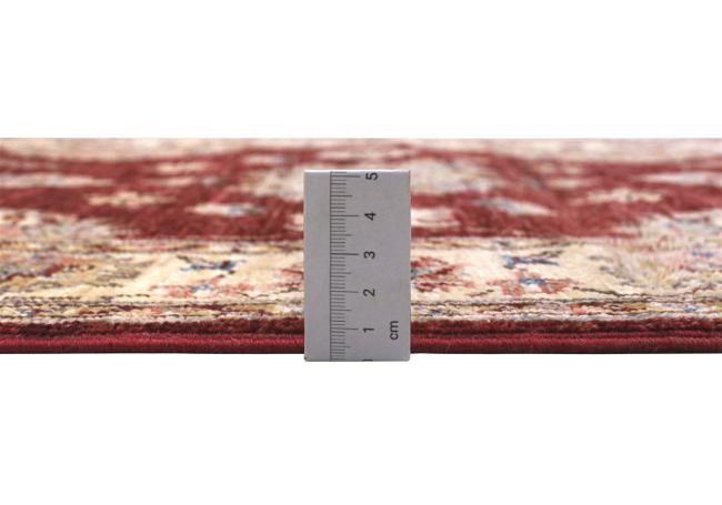 Ziegler Farahan - 3