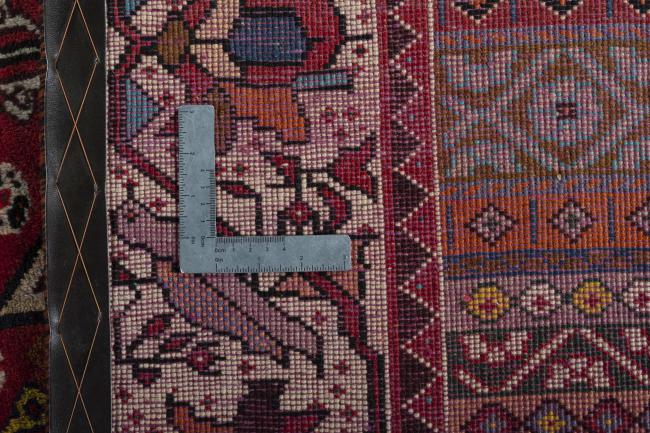 Shiraz - 10