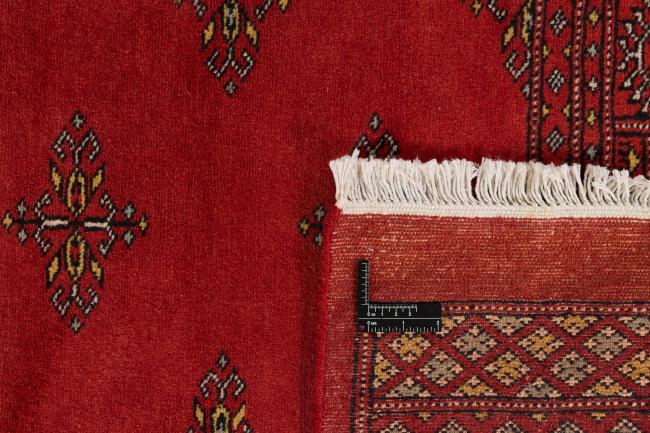 Pakistan Buchara 2ply - 1