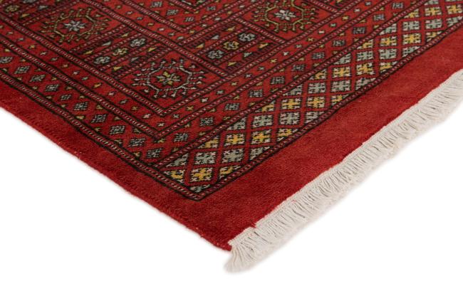 Pakistan Buchara 2ply - 3