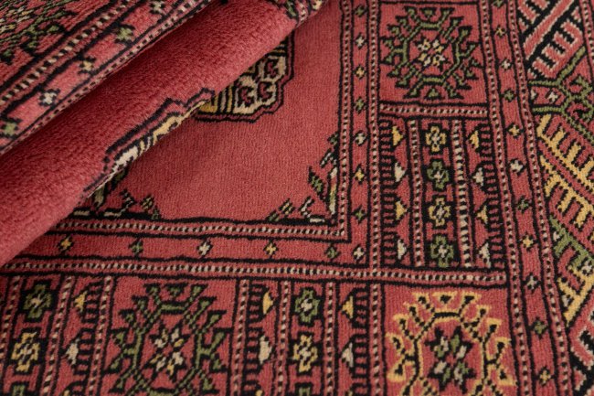 Pakistan Buchara 3Ply - 2